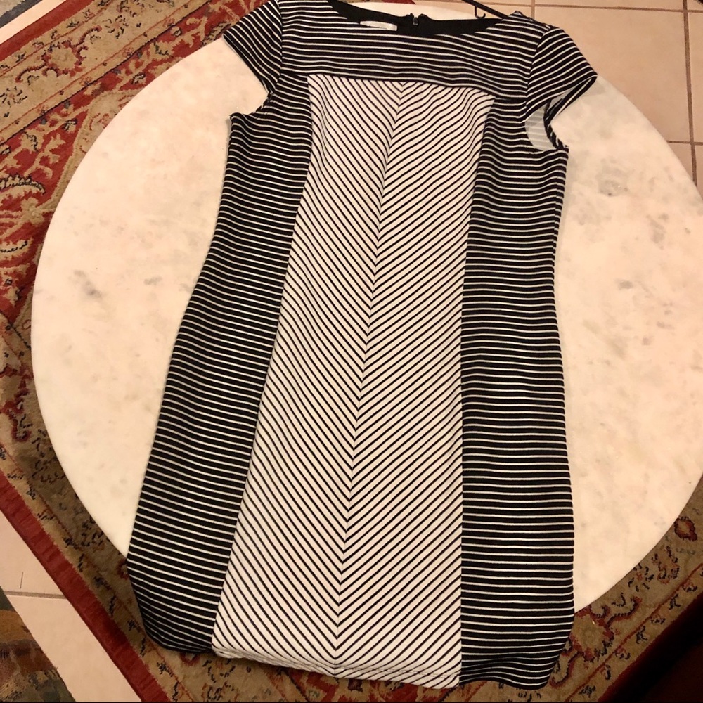 Women’s Dressbarn Dress